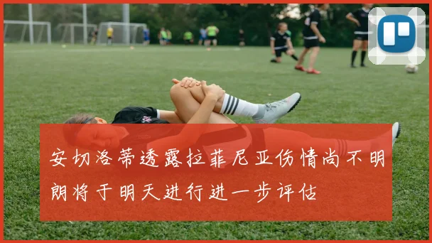 安切洛蒂透露拉菲尼亚伤情尚不明朗将于明天进行进一步评估