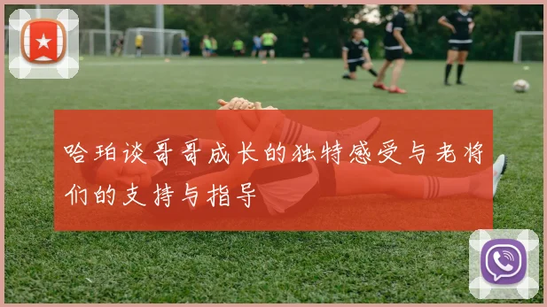 哈珀谈哥哥成长的独特感受与老将们的支持与指导