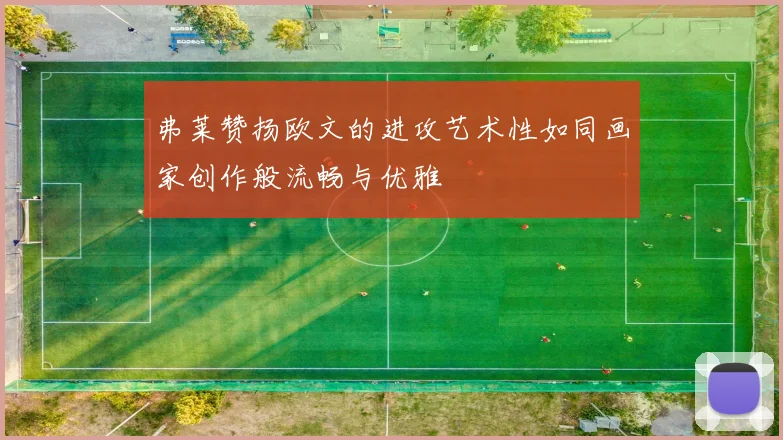 弗莱赞扬欧文的进攻艺术性如同画家创作般流畅与优雅